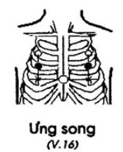 Huyệt Ưng Song - Y CỔ TRUYỀN