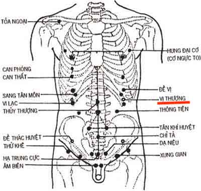 Huyệt Vị Thương - Y CỔ TRUYỀN