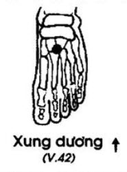 Huyệt Xung Dương - Y CỔ TRUYỀN