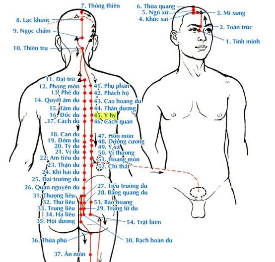 Huyệt Y Hy - Y CỔ TRUYỀN