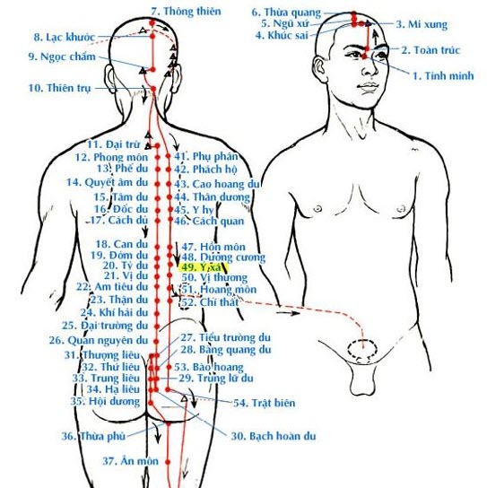 Huyệt Ý Xá - Y CỔ TRUYỀN