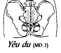 Huyệt Yêu Du - Y CỔ TRUYỀN