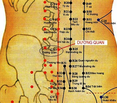 Huyệt Yêu Dương Quan - Y CỔ TRUYỀN