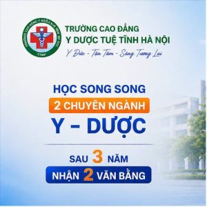 VDG Group